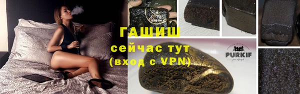 гашик Алексеевка